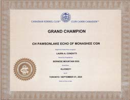 Echo Grand Champion